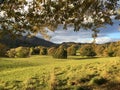 Rolling fields in the Lake District Royalty Free Stock Photo