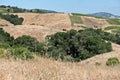 Napa Valley foothills in Spring Royalty Free Stock Photo