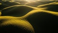 Rolling Golden Hills Bathed in Warm Sunset Light Creating a Textured Landscape with Circular Patterns and Deep Shadows Royalty Free Stock Photo