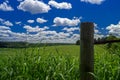 A rolling green field with white cumulus clouds Royalty Free Stock Photo