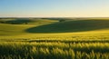 Rolling Green Fields Royalty Free Stock Photo