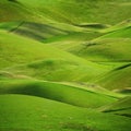 Rolling green hills background