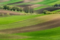 Rolling Green Hills. Beautiful Farmland and Coutryside at Spring in Poland