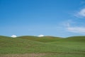 The rolling green hills of the Palouse farmland region of Eastern Washington State Royalty Free Stock Photo