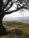 Rolling green hills of South African scenery with backpack under tree