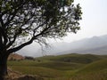 Rolling green hills of South African scenery with tree and mountains