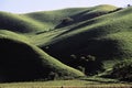 Rolling Green Hillside