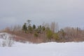 Rolling hill flank covered in snow with bare and coniferous trees and shrubs Royalty Free Stock Photo