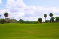 Rolling hill of golf course green