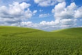Rolling hill landscape Royalty Free Stock Photo