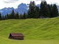 Undulating hill with farm shed in alpine landscape at spring