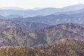 Rolling hills of Australian Alps on bright summer day, Victoria, Australia. Royalty Free Stock Photo