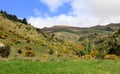 Rolling hills and beautiful skies Royalty Free Stock Photo