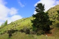 Rolling hills and beautiful skies