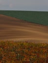 Rolling hills of brown fields and vineyards in the fall sunset in Moravian Tuscany, Czech Republic Royalty Free Stock Photo