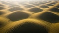 Rolling Hills with Circular Patterns Under Golden Sunlight Aerial View 2ddd (4561 Royalty Free Stock Photo