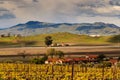 Rolling hills and clouds landscape near livermore California with vineyards Royalty Free Stock Photo