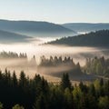 Rolling hills with dense coniferous forests are enveloped in a layer of mist. The mist creates a Royalty Free Stock Photo