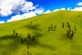 Rolling Hills Royalty Free Stock Photo