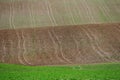 Softly undulating hills farmland background