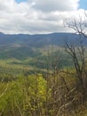 Rolling hills of Gatlinburg Tenn beautiful