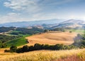 Rolling hills, golden meadow and green landscape in Tuscany, Italy