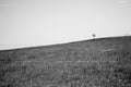 Rolling Hills Landscape with Windmill along the Garden Route