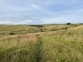 Rolling hills, with long wild grasses near, Waterworks Road, Delph, UK