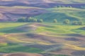 Palouse Rolling farmland hills and wheat fields in the Palouse region of Washington State America from Steptoe Butte near Colfax