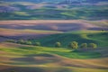 Rolling farm land hills and wheat fields in the Palouse region of Washington State