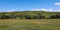 Rolling hills and the prairie in Custer State Park, Custer, South Dakota Royalty Free Stock Photo