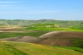 Rolling hills in Setif, Algeria. Royalty Free Stock Photo
