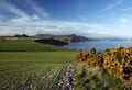 Rolling hills in Sidmouth Royalty Free Stock Photo