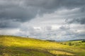 Rolling hills with single trees and fields with sheep in Cuilcagh Mountain Park