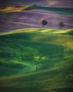 Rolling hills spring