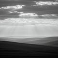 Rolling hills stretch across the landscape in a grayscale scene. Diffuse sunlight