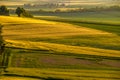 Rolling hills on sunset. Rural landscape. Green fields and farmlands, fresh vibrant colors