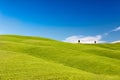 Rolling hills with trees and blue skies, Tuscany, Italy