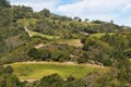 Rolling Hills in the Vineyard Royalty Free Stock Photo