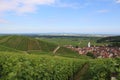 Rolling hills of vineyards in Alsace Royalty Free Stock Photo