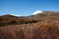 Rolling landscape of alpine vegetation leading to conical volcanic cone of Mount Ngauruhoe