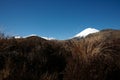 Rolling landscape of alpine vegetation leading to conical volcanic cone of Mount Ngauruhoe Royalty Free Stock Photo