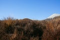 Rolling landscape of alpine vegetation leading to conical volcanic cone of Mount Ngauruhoe