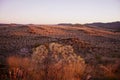 Rolling landscape in The Pilbara Royalty Free Stock Photo