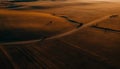 Rolling landscape, wheat fields, sunset, aerial view generated by AI