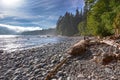 Coastal Fog Rugged Sombrio Beach Juan De Fuca Marine Hiking Trail Vancouver Island BC Canada