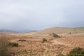 Rolling moorland in the north of Britain, large jagged rock and dry bracken