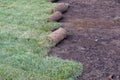 Laying lawn rolls Royalty Free Stock Photo