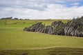 Rolling pasture with trees that bent to a side as has been constantly swept by strong winds in Southland, New Zealand. Royalty Free Stock Photo