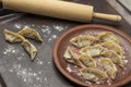 Rolling pin and raw gyoza dumplings on ceramic plate on rusty tray sprinkled with flour Royalty Free Stock Photo